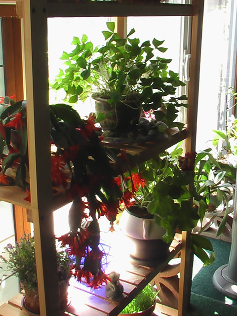 5.1porch