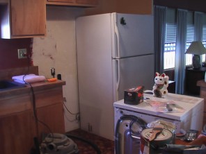 little laundry died 2